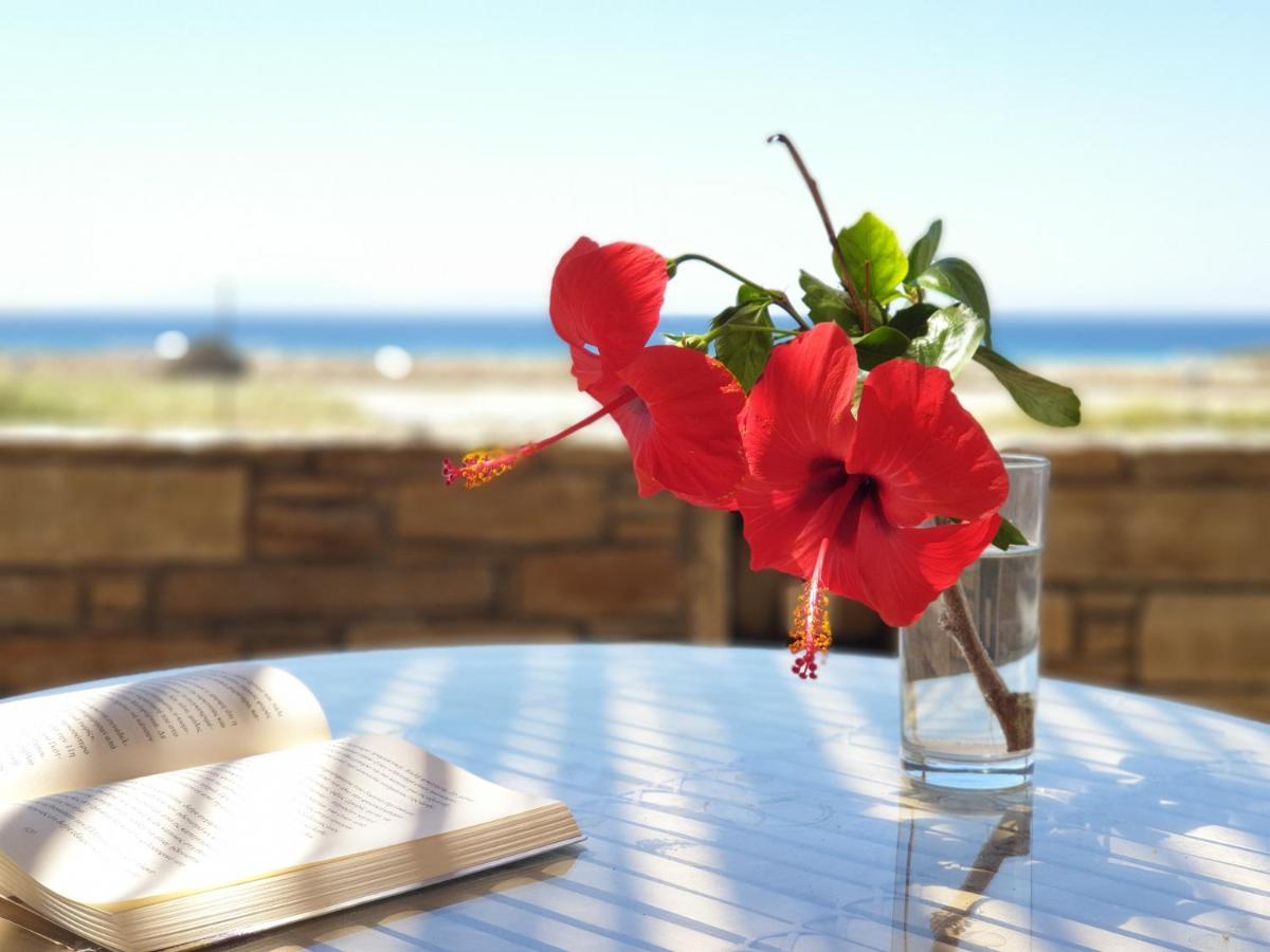 Kyma Apartments - Naxos Agios Prokopios Экстерьер фото